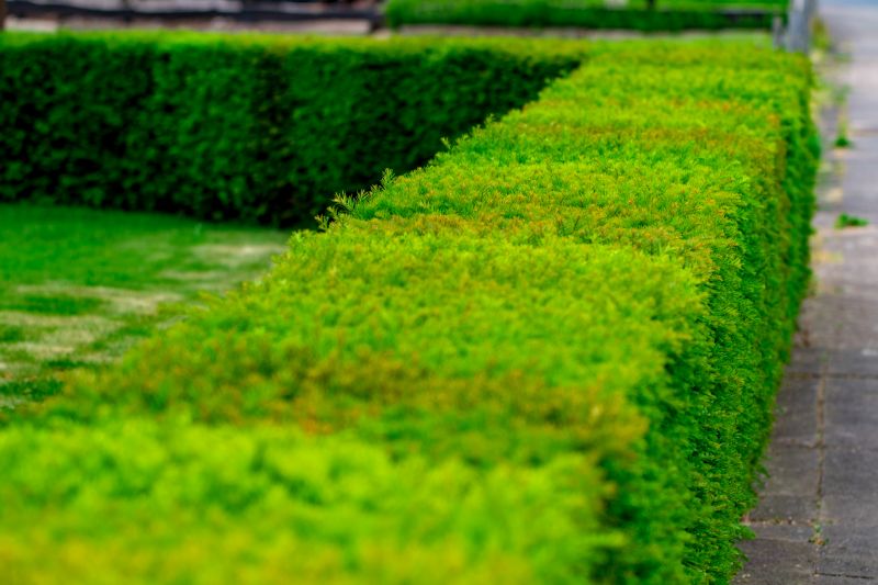 Hedge Installation